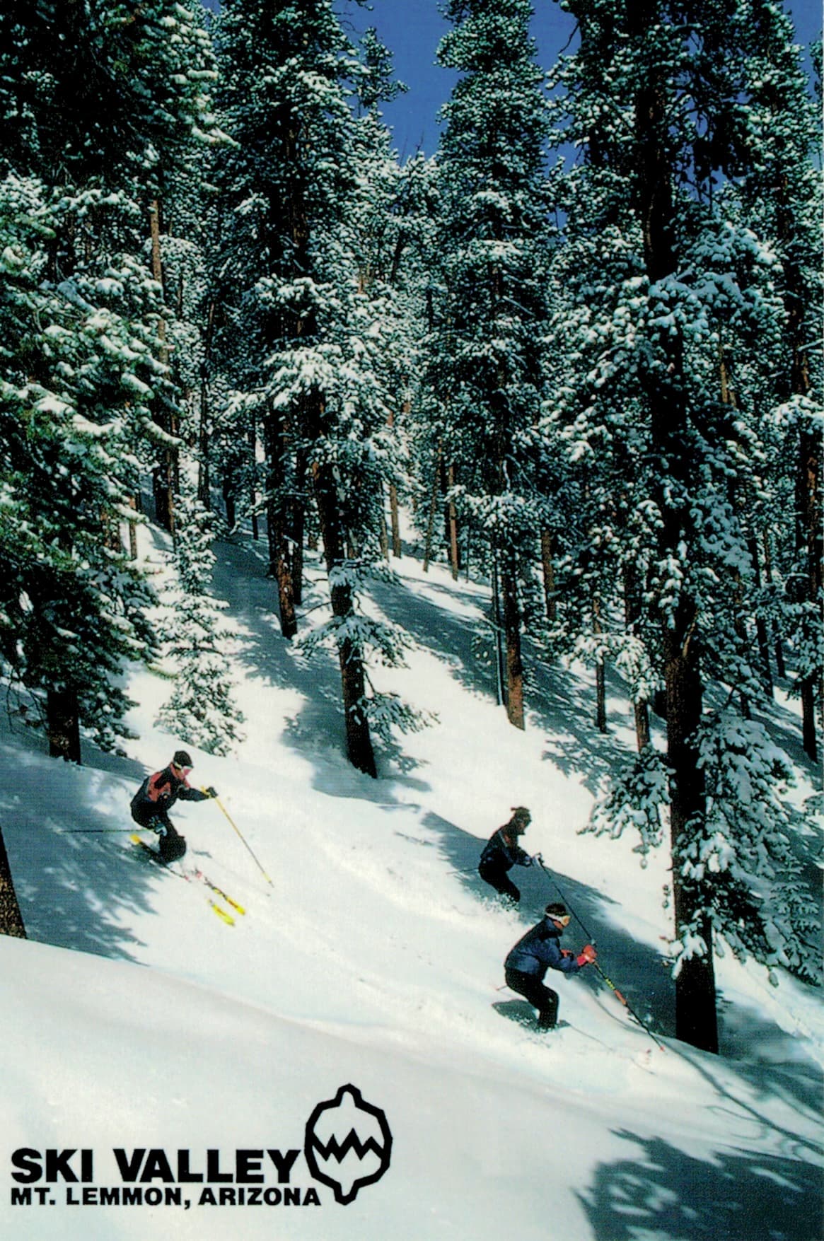 Postcard of Ski Valley in Mount Lemmon, Arizona.